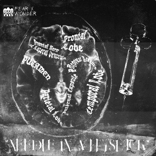 "NEEDLE IN A HAYSTACK"