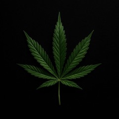 high again