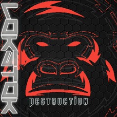 DESTRUCTION