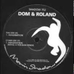 Dom & Roland - Imagination