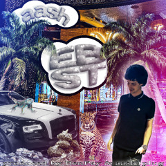 AASH1PLUG BITCH