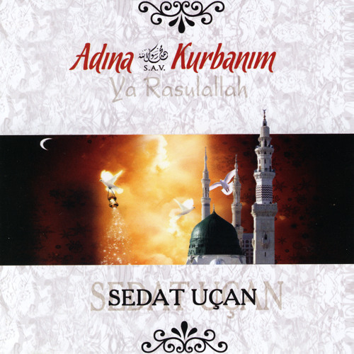 Stream Gözlerim Seni Arar by Sedat Uçan | Listen online for free on  SoundCloud