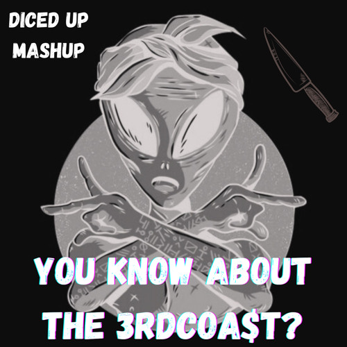 YOU KNOW ABOUT THE 3RDCOA$T? (DICED UP MASHUP)