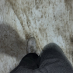 good will hunting gym edit (tiktok)