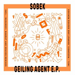 PRÉMIÈRE: Sobek - Mr. Vibe (Bawrut remix) [Secret Fusion]
