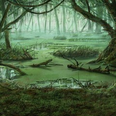 Get out of my swamp
