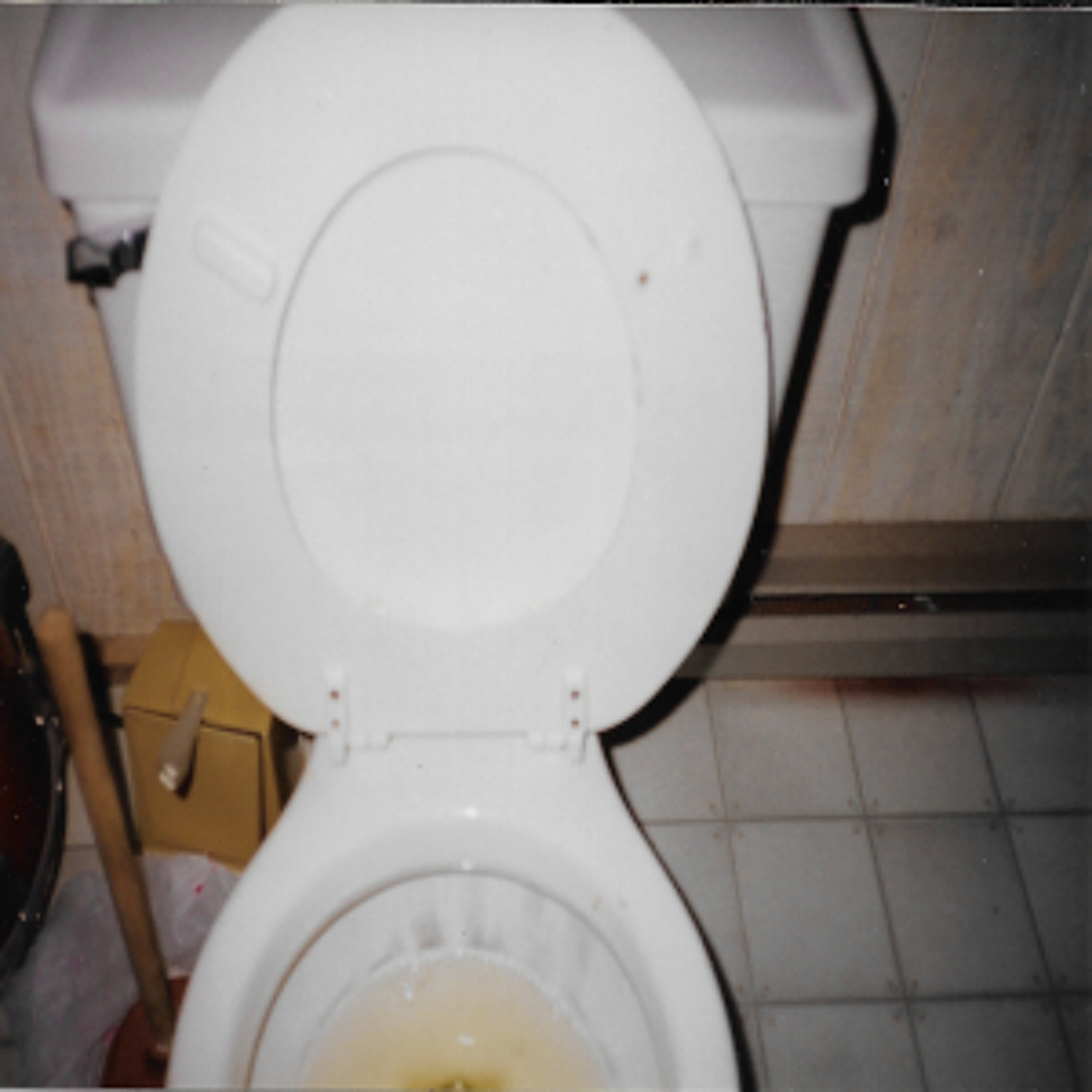 Courtesy Flush episode artwork