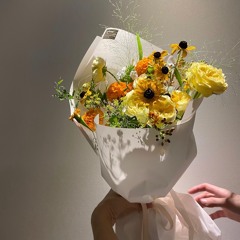 보물