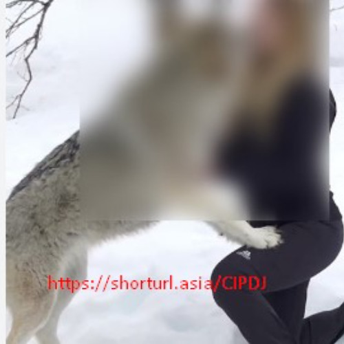 [Watch video 18+] one girl one wolf video & one girl one ghost one girl one frog reddit