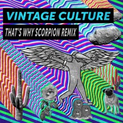 Vintage Culture - That's Why (Scorpion Remix)