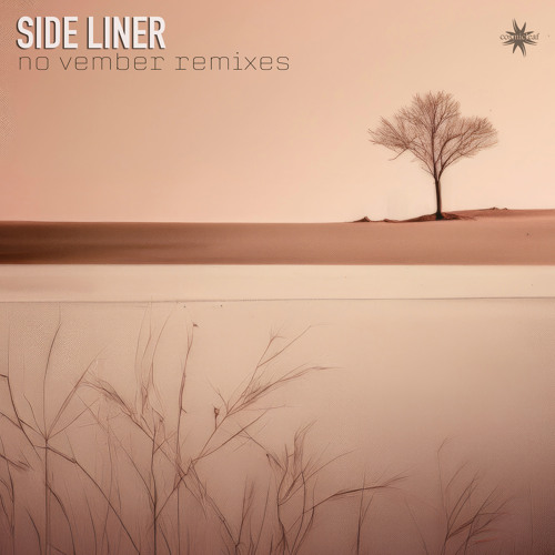 No Vember (Slowdown In The Ambient Maze)