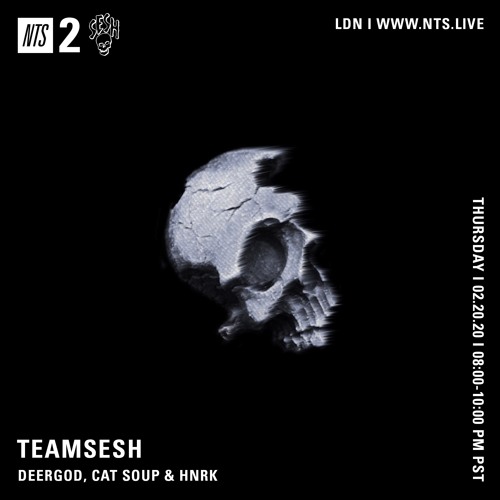 TeamSesh NTS 20th February 2020: cat soup, hnrk & Deergod