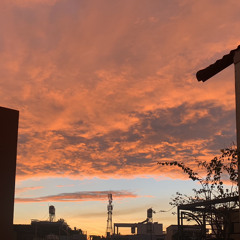 please never fall in love again.