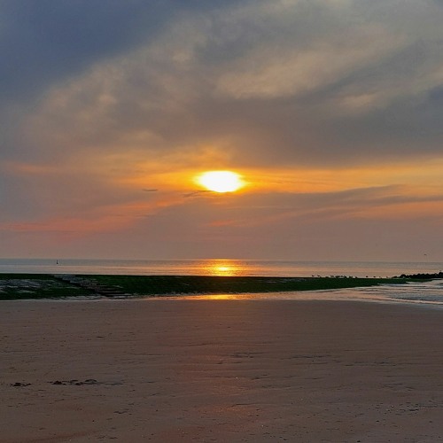 Birds sing 'happy Birthday' - 080877