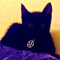 $NOT FT: BAHA,GELLOSPAZZOUT