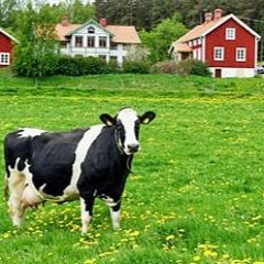 jag är en bonde