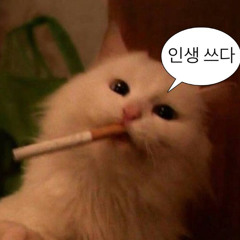 되는 게 없네 에잉