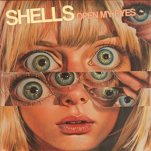 𝐒𝐇𝐄𝐋𝐋𝐒 : 𝓞𝓹𝓮𝓷 𝓜𝔂 𝓔𝔂𝓮𝓼 (𝚃𝚑𝚎 𝙽𝚊𝚣𝚣 ᶜᵒᵛᵉʳ)