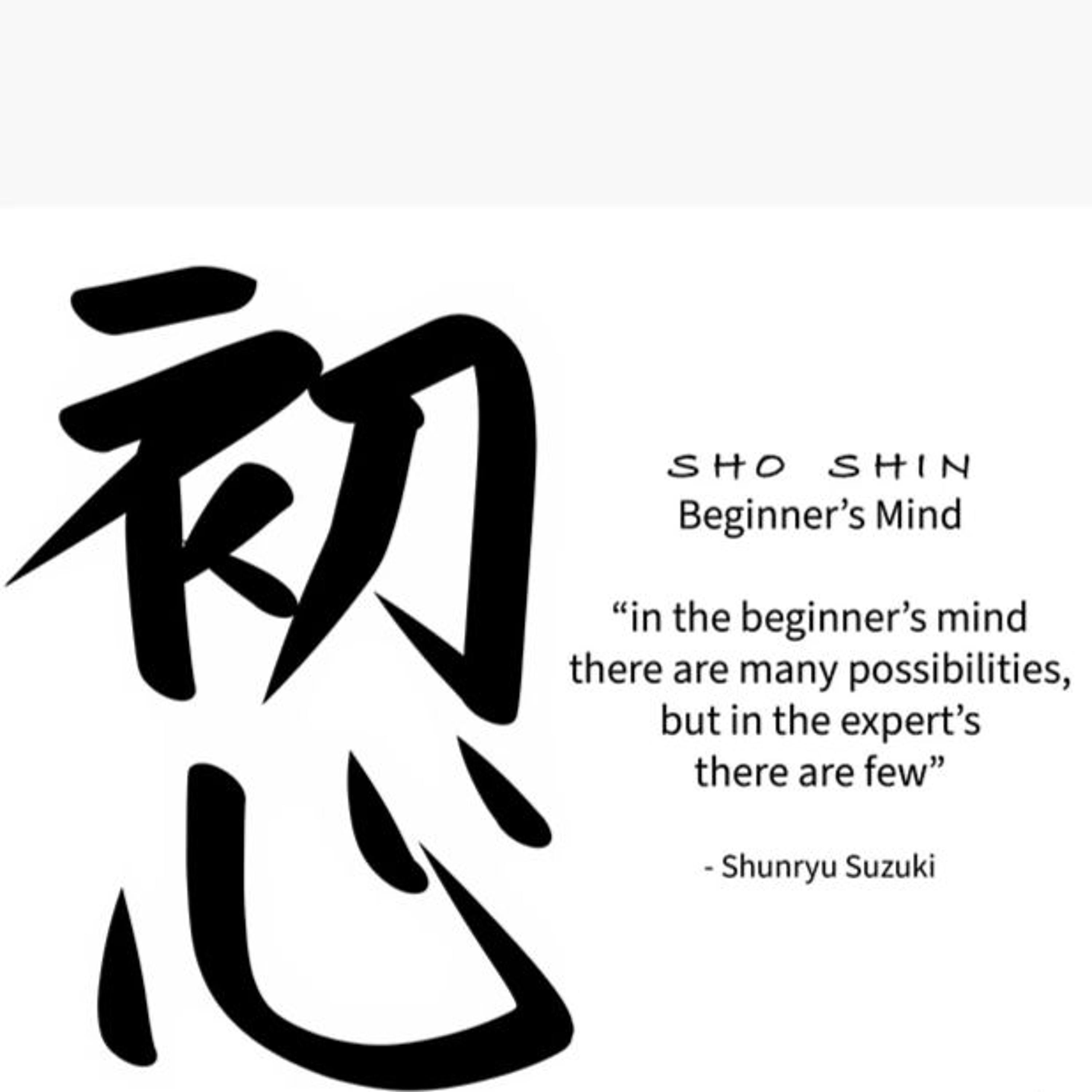 #238 Critical Thinking for Everyone! | Beginner's Mind: "Shoshin" | April 10, 2025 episode artwork