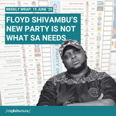 Someone tell Floyd Shivambu we don't need another political party 😆 - 19 June ‘25