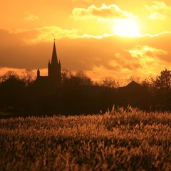 Distant Bells