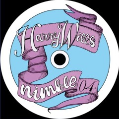 Premiere : Harry wills - If I Was You (NIMBLE04)