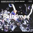 Raindrops - Sander Van Doorn x Selva x Macon remixed by Oscar Sargent