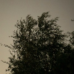 Sorin Milea - Insomnia Sessions 01