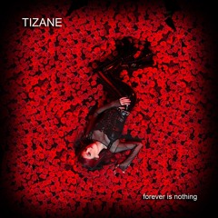 Forever Is Nothing (by TIZANE)