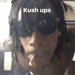 1 Porro mas w/ @panchitolefleur