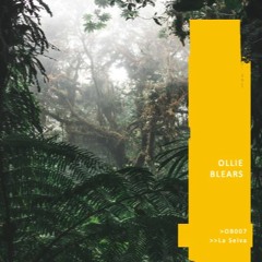 OB007 - La Selva