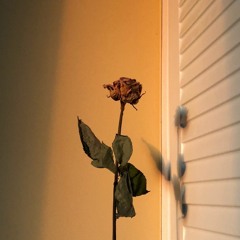 사랑하기 때문에 (cover)