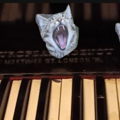 guitar experiment using laptop built in mics and NCH only