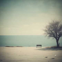 Quiet Reflections