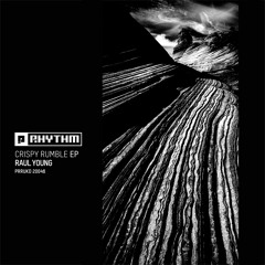 Raul Young - Crim3 (PRRUKD20046)