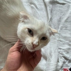 RK Imaginary Rave (Schranz)