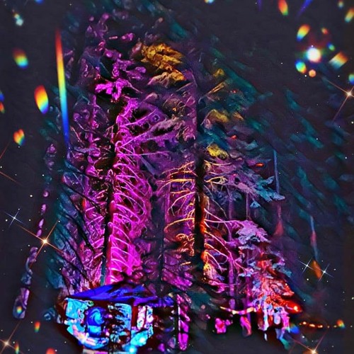 Find me in the Forest (Psytrance Set)