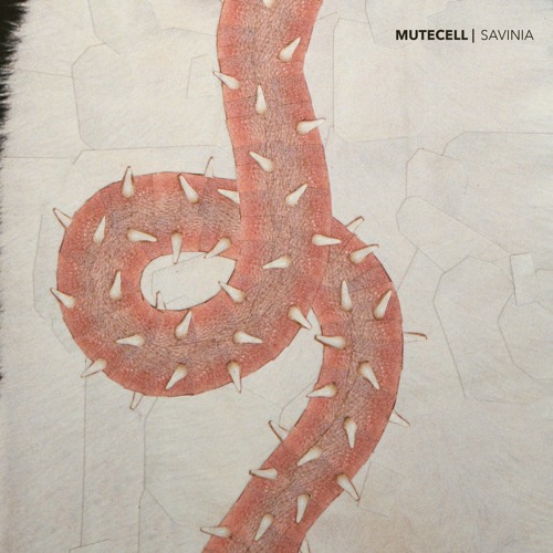 snippets  PT1 Of Album ONACID(Savinia)