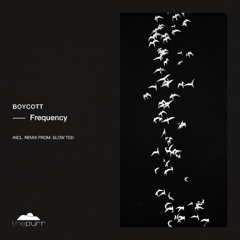 Boycott - Frequency (Original Mix)