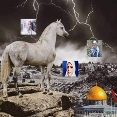 انشودة حان اللقاء __ أداء المنشد بلال الأحمد(MP3_70K).mp3