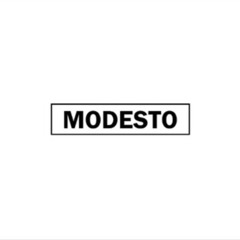 DJ Modesto Mixtape 🌴