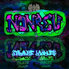 Nonrev Strange Journey Mix By FestivalDave