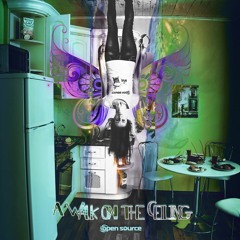 A Walk On The Ceiling