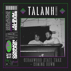 PREMIERE: Cedarwood State Trax - Coming Down [Talamh Records]