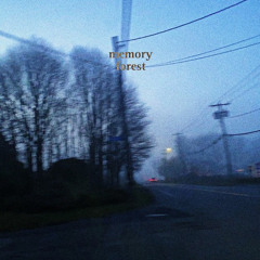 My Final Memory Would Be In A Forest As I Blow My Head To Smithereens