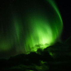 Aurora Borealias