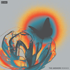 The Answers (ferumi Remix)