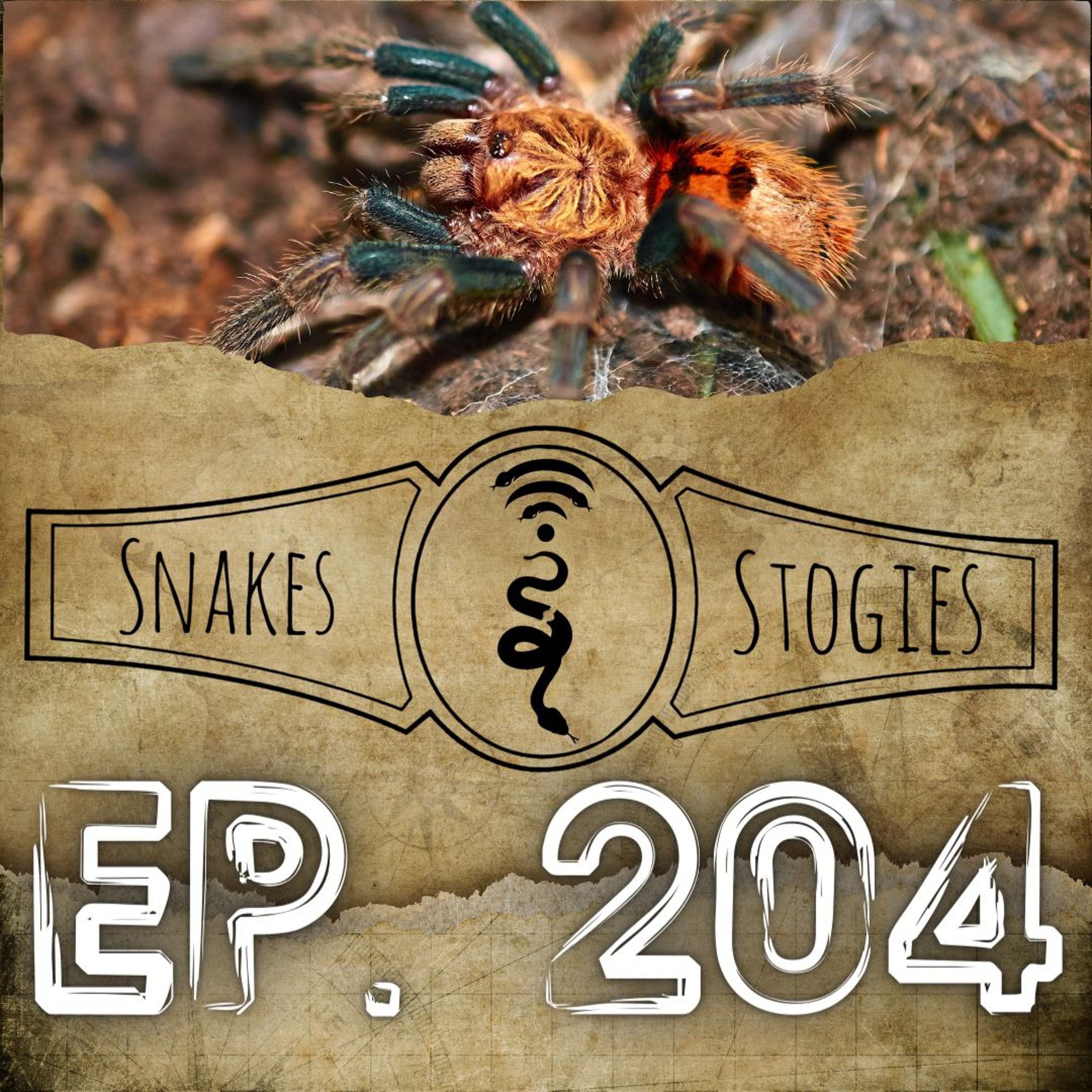 Tarantulas with Nisarg Shah | Snakes & Stogies Ep. 204