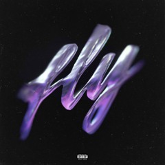 Fly