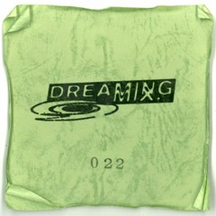 DREAMING 022 : Richii - MOLDIVE at NOON 19 NOV 2022